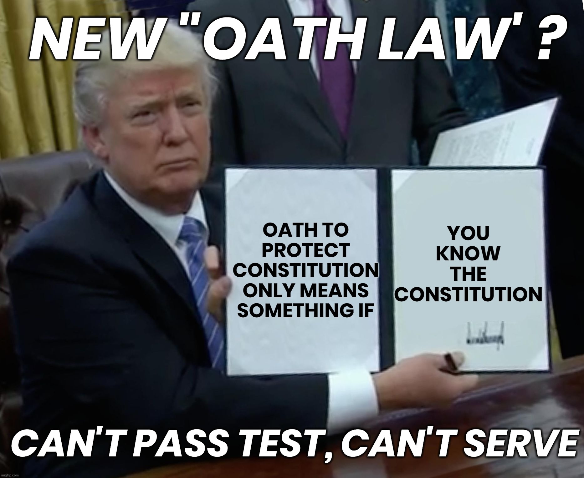 GOTTA KNOW CONSTITUTION TO SERVE ? | NEW "OATH LAW' ? OATH TO
PROTECT
CONSTITUTION
ONLY MEANS
SOMETHING IF; YOU
KNOW
THE
CONSTITUTION; CAN'T PASS TEST, CAN'T SERVE | image tagged in law,constitution,serve,oath law,test,know | made w/ Imgflip meme maker