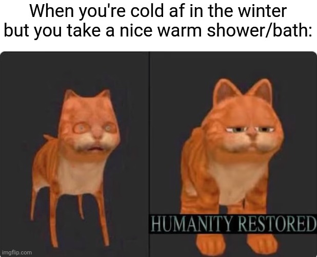 Amazing feeling | When you're cold af in the winter but you take a nice warm shower/bath: | image tagged in humanity restored,shower,bath,winter,memes,why are you reading the tags | made w/ Imgflip meme maker