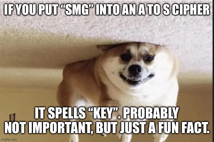 Upside down dog | IF YOU PUT “SMG” INTO AN A TO S CIPHER; IT SPELLS “KEY”. PROBABLY NOT IMPORTANT, BUT JUST A FUN FACT. | image tagged in upside down dog | made w/ Imgflip meme maker