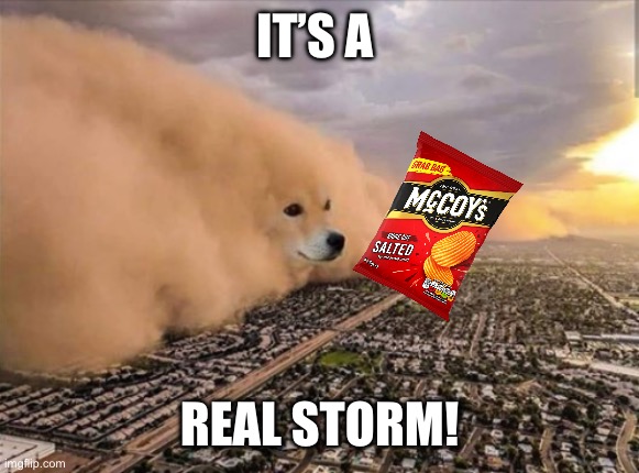 Dust Doge Storm | IT’S A REAL STORM! | image tagged in dust doge storm | made w/ Imgflip meme maker