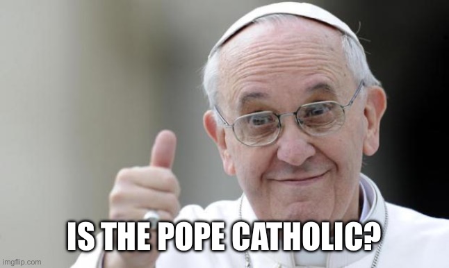 Pope francis | IS THE POPE CATHOLIC? | image tagged in pope francis | made w/ Imgflip meme maker