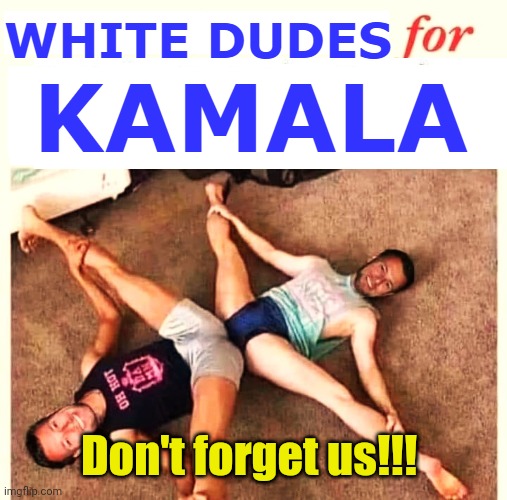 white dudes for Kamala | Don't forget us!!! | image tagged in white dudes for kamala | made w/ Imgflip meme maker