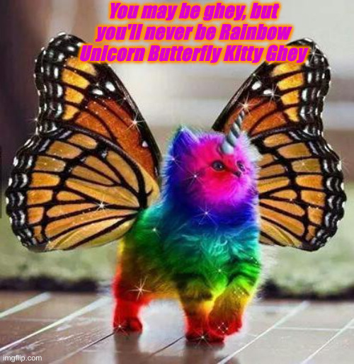 Rainbow unicorn butterfly kitten | You may be ghey, but you'll never be Rainbow Unicorn Butterfly Kitty Ghey | image tagged in rainbow unicorn butterfly kitten | made w/ Imgflip meme maker