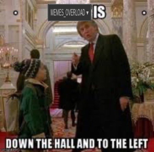 MEMES_OVERLOAD is down the hall and to the left | image tagged in memes_overload is down the hall and to the left | made w/ Imgflip meme maker