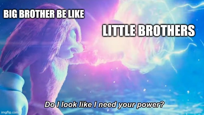 ISNT THIS TRUE | BIG BROTHER BE LIKE; LITTLE BROTHERS | image tagged in do i look like i need your power | made w/ Imgflip meme maker