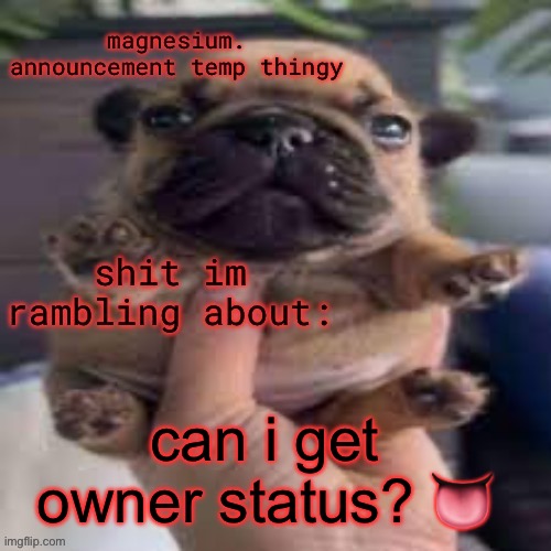 pug temp | can i get owner status? 👅 | image tagged in pug temp | made w/ Imgflip meme maker