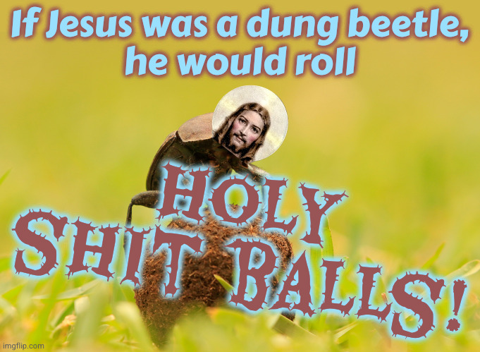 Dung Beetle | If Jesus was a dung beetle,
he would roll; holy
shit balls! | image tagged in dung beetle | made w/ Imgflip meme maker