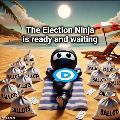 The Election Ninja is ready and waiting | made w/ Imgflip meme maker