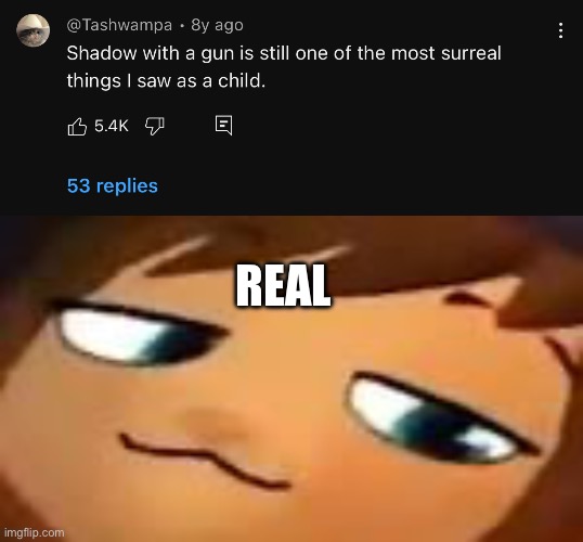 REAL | image tagged in smug hat kid mp4 | made w/ Imgflip meme maker