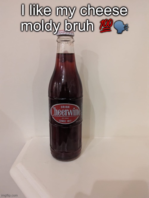 Cheerwine | I like my cheese moldy bruh 💯🗣️ | image tagged in cheerwine | made w/ Imgflip meme maker