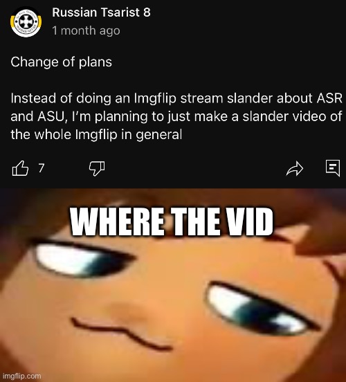 WHERE THE VID | image tagged in smug hat kid mp4 | made w/ Imgflip meme maker