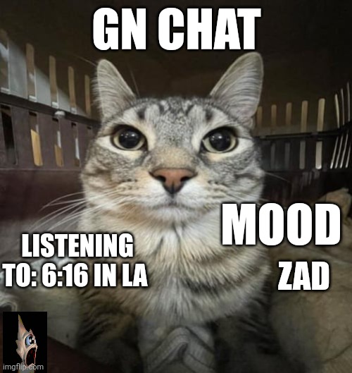 Zazu Staring | GN CHAT; MOOD; LISTENING TO: 6:16 IN LA; ZAD | image tagged in zazu staring | made w/ Imgflip meme maker