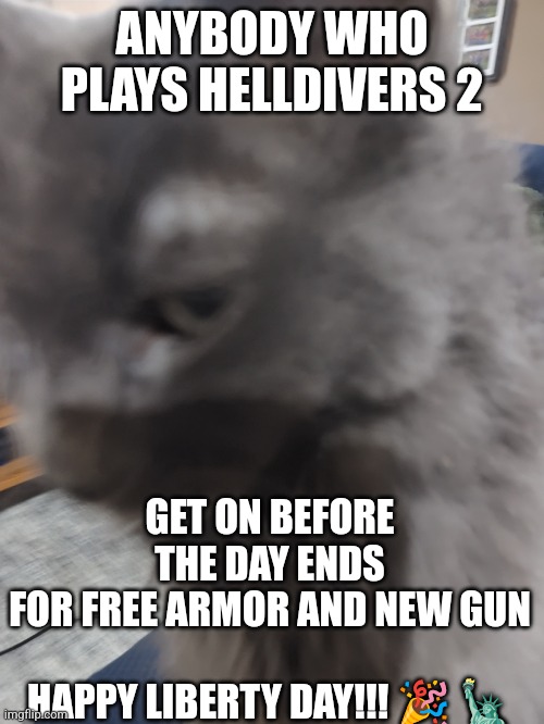 ㅤ | ANYBODY WHO PLAYS HELLDIVERS 2; GET ON BEFORE THE DAY ENDS FOR FREE ARMOR AND NEW GUN
 
HAPPY LIBERTY DAY!!! 🎉 🗽 | image tagged in 32's cat | made w/ Imgflip meme maker