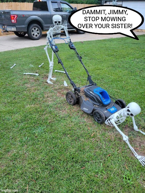 DAMMIT, JIMMY, STOP MOWING OVER YOUR SISTER! | made w/ Imgflip meme maker