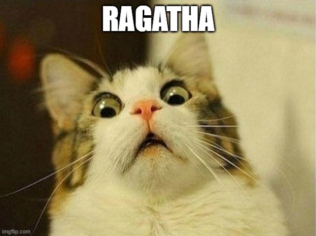 Scared Cat Meme | RAGATHA | image tagged in memes,scared cat | made w/ Imgflip meme maker