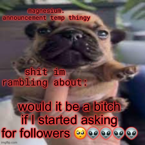 bogos binted | would it be a bitch if I started asking for followers 🥺👽👽👽👽 | image tagged in pug temp | made w/ Imgflip meme maker