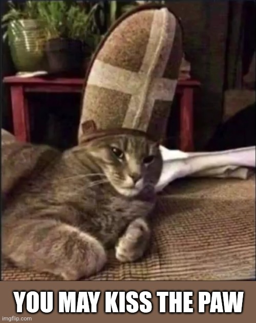 cat pope | YOU MAY KISS THE PAW | image tagged in cat pope | made w/ Imgflip meme maker
