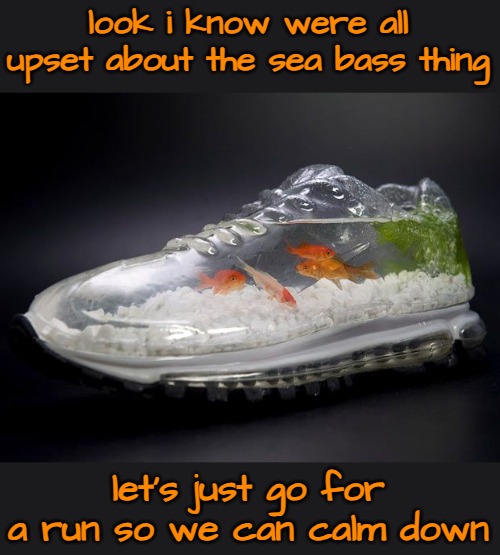 look i know were all upset about the sea bass thing let's just go for a run so we can calm down | made w/ Imgflip meme maker