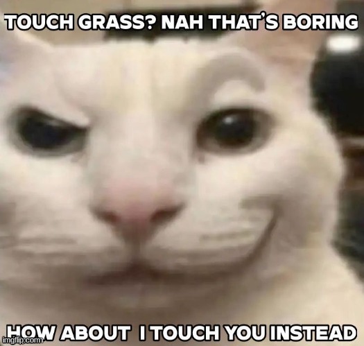 touching cat Blank Meme Template