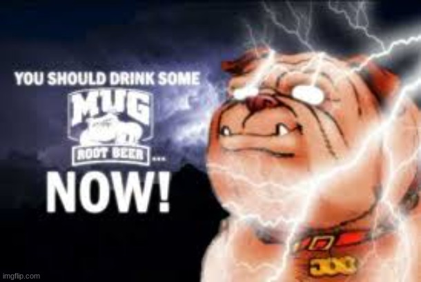 You Should Drink Some Mug Root Beer NOW! | image tagged in you should drink some mug root beer now | made w/ Imgflip meme maker