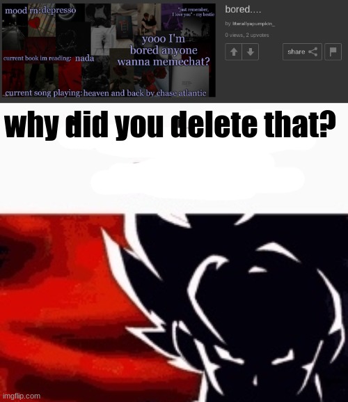 why did you delete that? | image tagged in i saw what you deleted | made w/ Imgflip meme maker