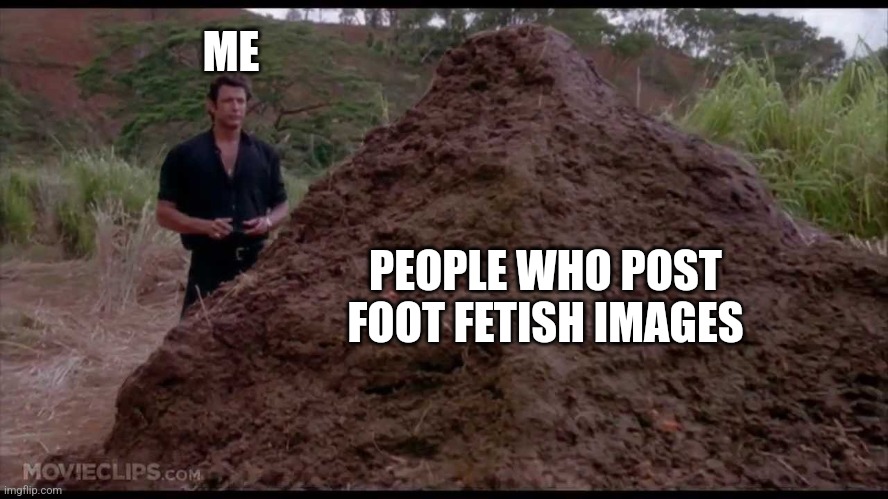 That is one big pile of shit | ME; PEOPLE WHO POST FOOT FETISH IMAGES | image tagged in that is one big pile of shit | made w/ Imgflip meme maker