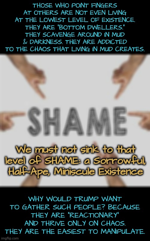 The Shaming of America | THOSE WHO POINT FINGERS AT OTHERS ARE NOT EVEN LIVING AT THE LOWEST LEVEL OF EXISTENCE. THEY ARE "BOTTOM DWELLERS." THEY SCAVENGE AROUND IN MUD & DARKNESS. THEY ARE ADDICTED TO THE CHAOS THAT LIVING IN MUD CREATES. We must not sink to that level of SHAME: a Sorrowful, Half-Ape, Miniscule Existence; WHY WOULD TRUMP WANT TO GATHER SUCH PEOPLE? BECAUSE THEY ARE "REACTIONARY" AND THRIVE ONLY ON CHAOS. THEY ARE THE EASIEST TO MANIPULATE. | image tagged in donald trump,blossomraveneski,walk on water,shame,dnc,msnbc | made w/ Imgflip meme maker