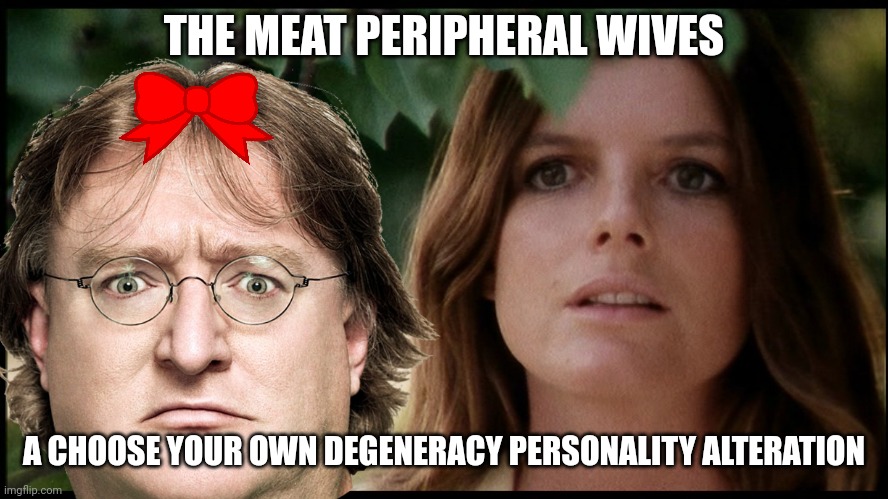 stepford wife | THE MEAT PERIPHERAL WIVES; A CHOOSE YOUR OWN DEGENERACY PERSONALITY ALTERATION | image tagged in stepford wife | made w/ Imgflip meme maker