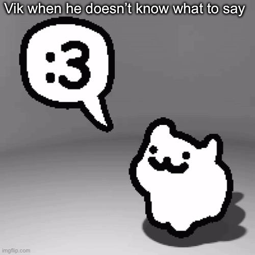 :3 cat | Vik when he doesn’t know what to say | image tagged in 3 cat | made w/ Imgflip meme maker