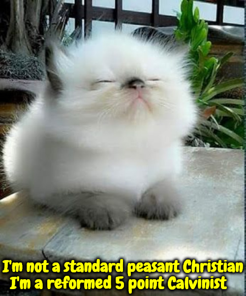 Not A Peasant Christian | I'm not a standard peasant Christian; I'm a reformed 5 point Calvinist | image tagged in calvinism,arminian,molinism,smug,not a peasant,reformed theology 5 point | made w/ Imgflip meme maker