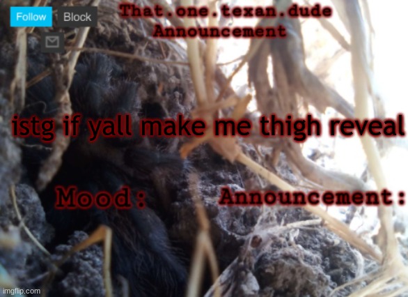 THE that.one.texan.dude announcement template | istg if yall make me thigh reveal | image tagged in the that one texan dude announcement template | made w/ Imgflip meme maker