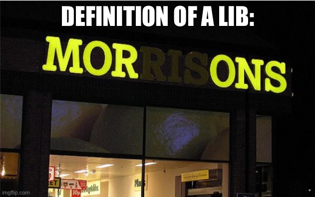 Morons | DEFINITION OF A LIB: | image tagged in morons | made w/ Imgflip meme maker