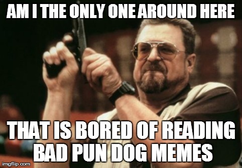 Am I The Only One Around Here | AM I THE ONLY ONE AROUND HERE THAT IS BORED OF READING BAD PUN DOG MEMES | image tagged in memes,am i the only one around here | made w/ Imgflip meme maker