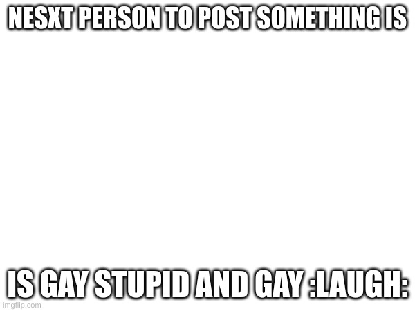 NESXT PERSON TO POST SOMETHING IS; IS GAY STUPID AND GAY :LAUGH: | made w/ Imgflip meme maker