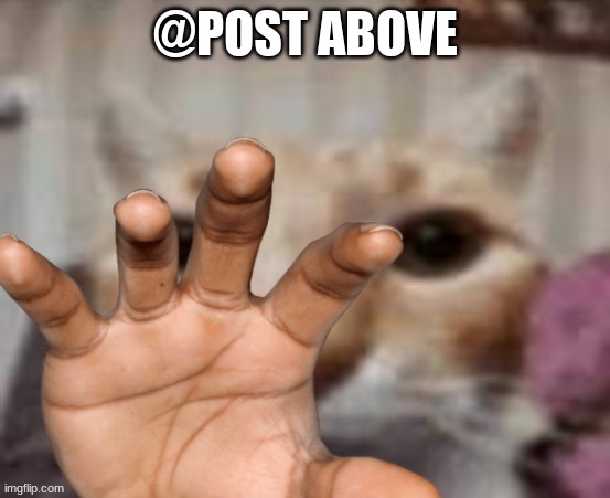got you now don't run | @POST ABOVE | image tagged in got you now don't run | made w/ Imgflip meme maker