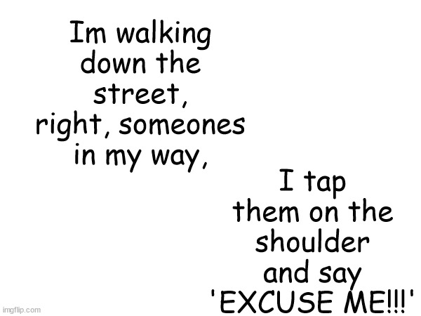 You have now freaked a person for life! congrates! | Im walking down the street, right, someones in my way, I tap them on the shoulder and say 'EXCUSE ME!!!' | image tagged in lol so funny | made w/ Imgflip meme maker