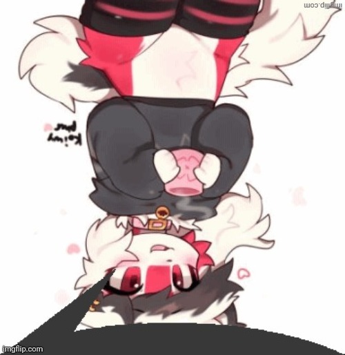 femboy furry speech bubble | image tagged in femboy furry speech bubble | made w/ Imgflip meme maker