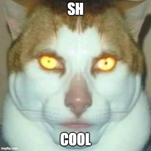 Sigma Cat | SH COOL | image tagged in sigma cat | made w/ Imgflip meme maker