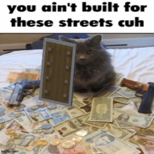 [Sheilded] @post below | image tagged in you ain't built for these streets cuh | made w/ Imgflip meme maker