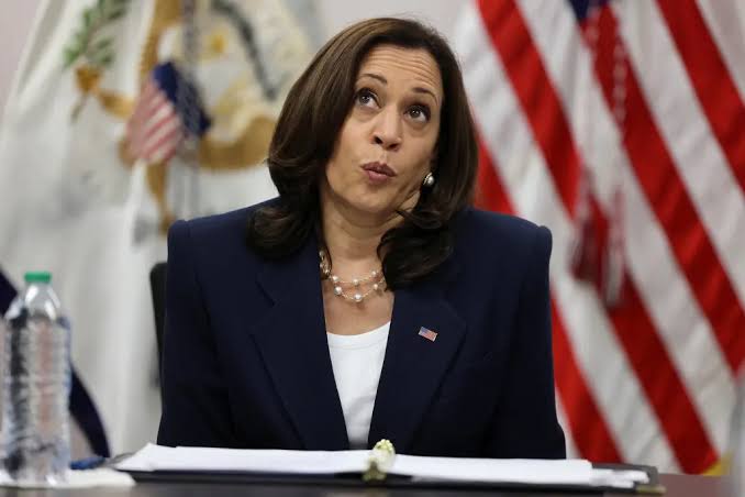 Kamala harris Blank Meme Template