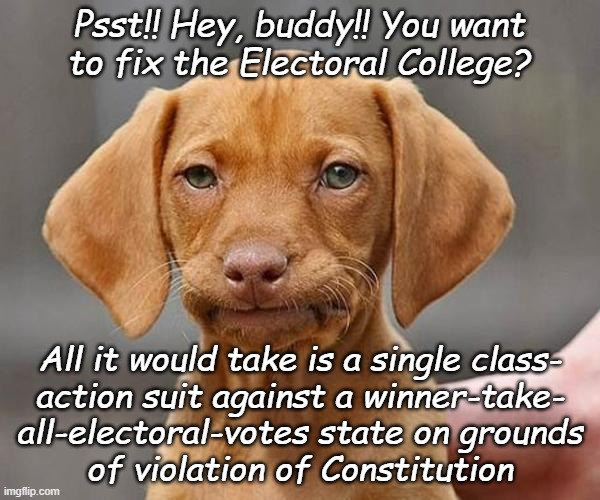 A2.S1.C3 clearly specifies ALL the Electoral Votes be counted. | Psst!! Hey, buddy!! You want to fix the Electoral College? All it would take is a single class-
action suit against a winner-take-
all-electoral-votes state on grounds
of violation of Constitution | image tagged in yup,electoral college,broken,system,winner takes all,unconstitutional | made w/ Imgflip meme maker