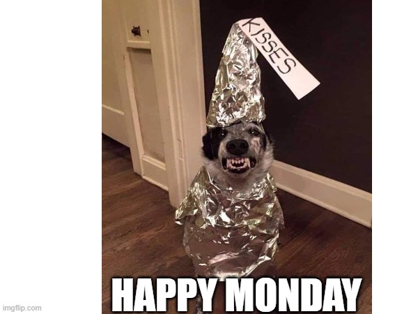 HAPPY MONDAY | HAPPY MONDAY | image tagged in happy monday,dog kisses | made w/ Imgflip meme maker