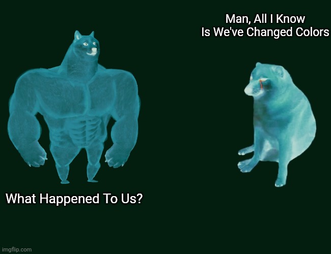 What The... | Man, All I Know Is We've Changed Colors; What Happened To Us? | image tagged in buff doge vs cheems,somethings wrong,colors | made w/ Imgflip meme maker