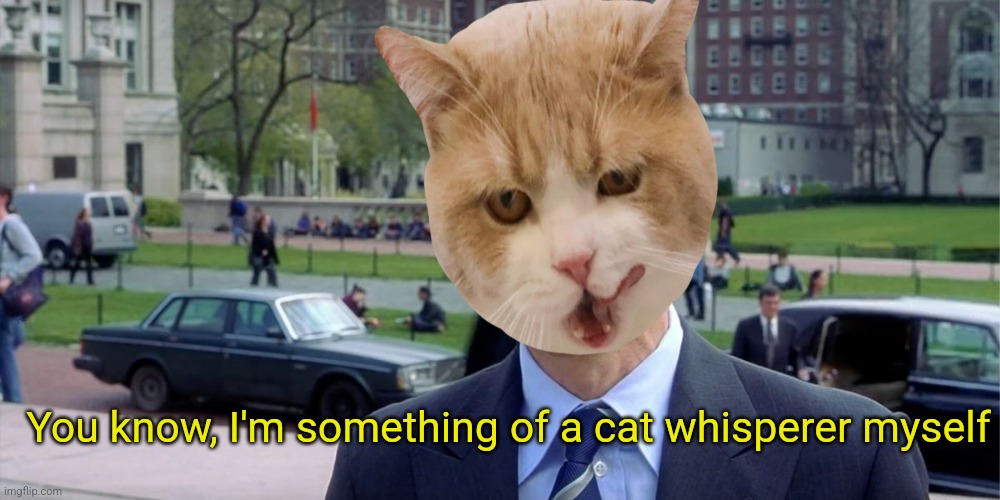 You know, I'm something of a cat whisperer myself | made w/ Imgflip meme maker