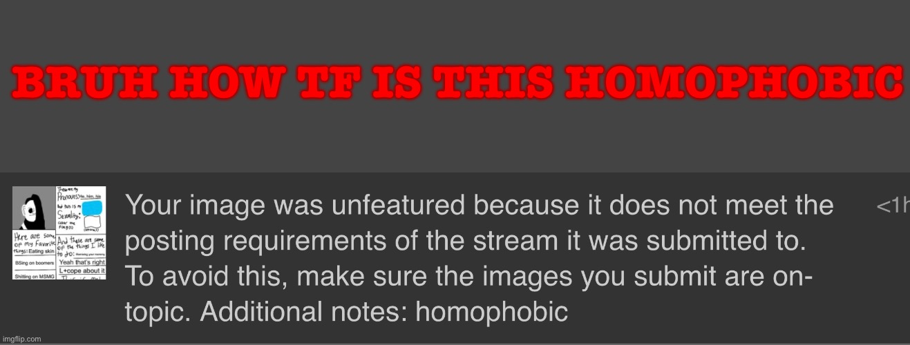 Mod sensitive af | BRUH HOW TF IS THIS HOMOPHOBIC | image tagged in imgflip mods | made w/ Imgflip meme maker