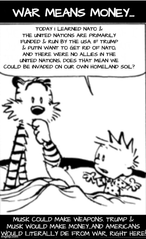 Calvin Contemplates Fascism | image tagged in fascism,elon musk,donald trump,dnc,msnbc | made w/ Imgflip meme maker