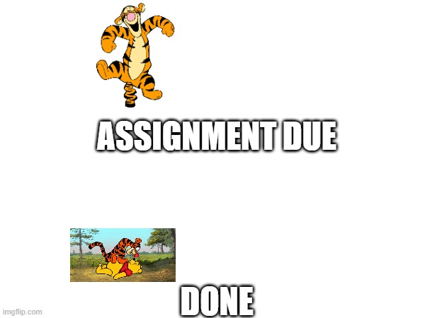ASSIGNMENT DUE; DONE | made w/ Imgflip meme maker