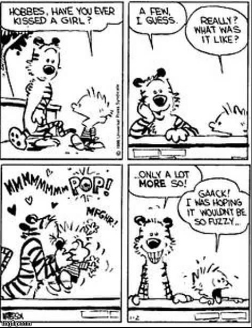 Remember Calvin's first kiss? | image tagged in calvin and hobbes,comics/cartoons,historical,lgbt | made w/ Imgflip meme maker