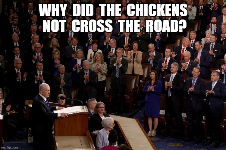 Chicken Nuggets | WHY  DID  THE  CHICKENS  NOT  CROSS  THE  ROAD? | image tagged in congress | made w/ Imgflip meme maker
