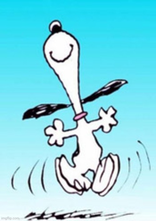 Snoopy dance | image tagged in snoopy dance | made w/ Imgflip meme maker